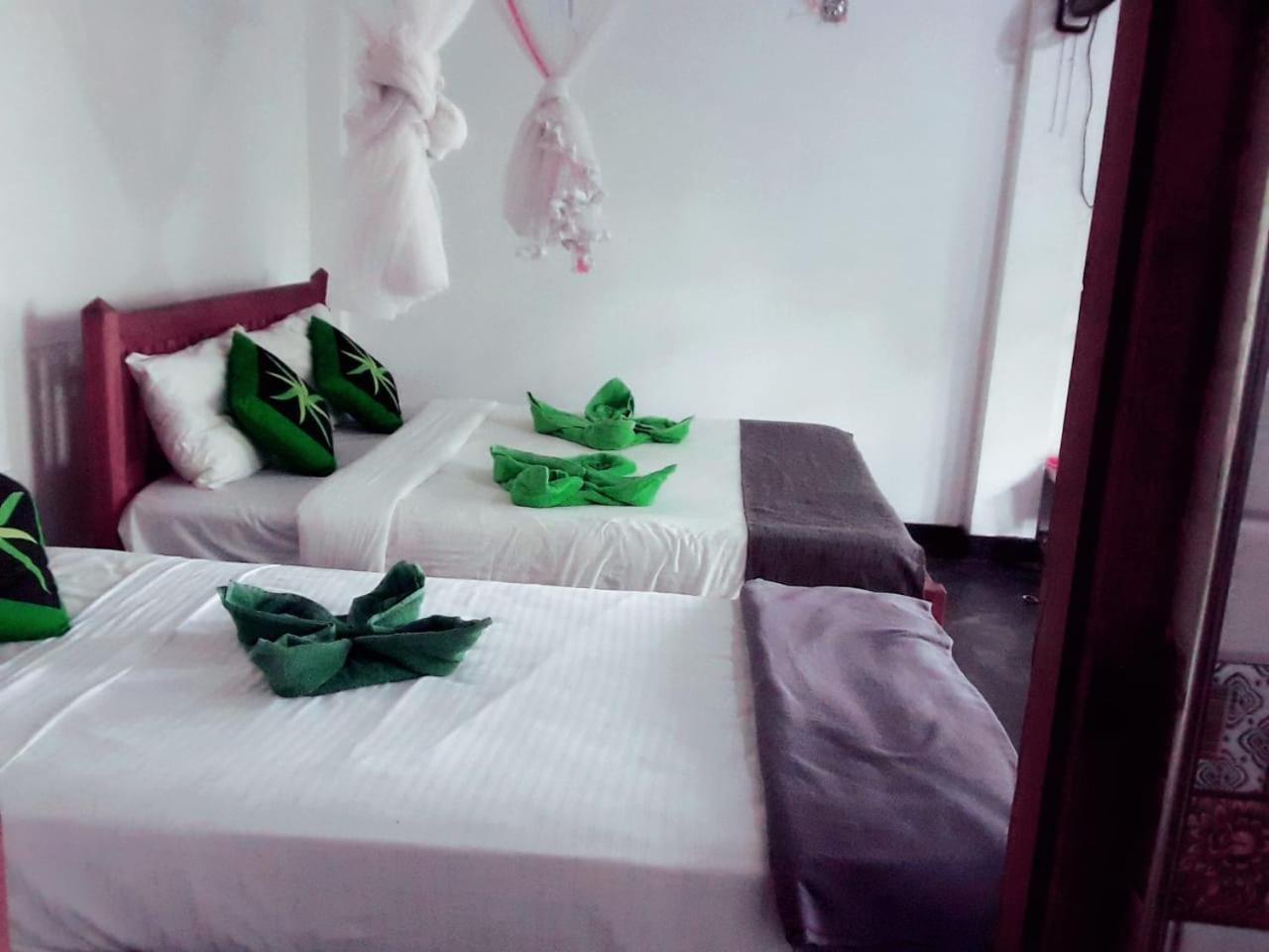 Enthral View Homestay إيلا المظهر الخارجي الصورة